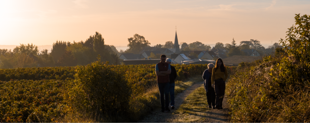 famille Mérat dans les vignes au levé du soleil