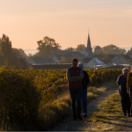 famille Mérat dans les vignes au levé du soleil